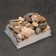 Ammonite set