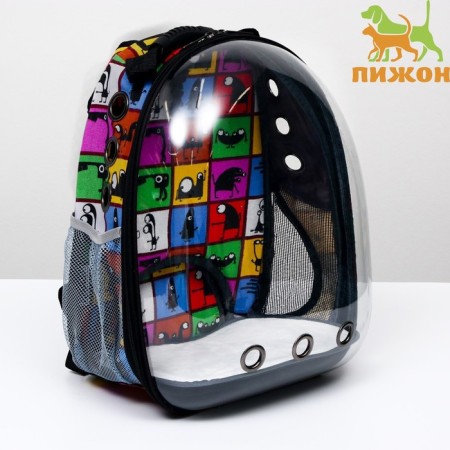 A backpack for carrying cats and dogs "eyes", transparent, 31 x 28 x 42 cm