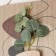 Hooks decorative wood "Abstraction. Karakuli. Flower" 1.5x19.5x23.5 cm