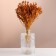 Set of dried flowers "chandra", banch length 40 (+/- 6 cm), mustard