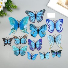 Magnet Plastic 