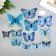 Magnet Plastic "Blue Blue" set 12 pcs
