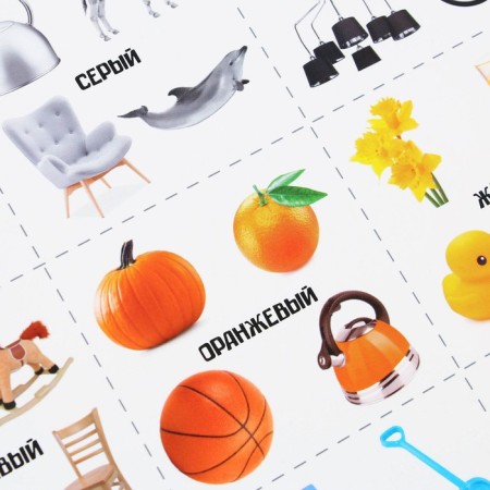A set of training posters "Study the world", 10 in 1, A4-19