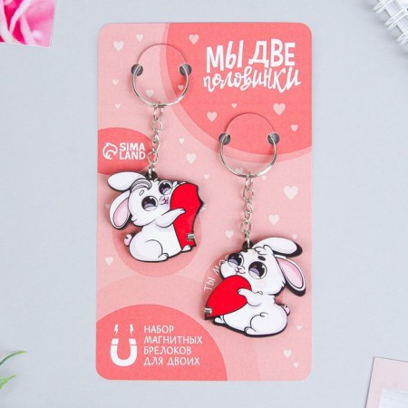 Key keychain, pair on the magnet, 2 pcs "Two halves", 9 x 15 cm-1
