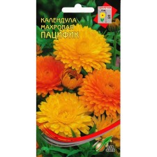 Calendula flowers 
