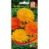 Calendula flowers "pacific" House of seeds, mixture, o, 20 pcs