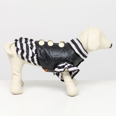 Jacket for dogs with shutters, size 2 (DS 23, Osh 26, OG 33 cm), black-1