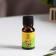 Aroma -Maslay "melon", 10 ml, wealth of aroma