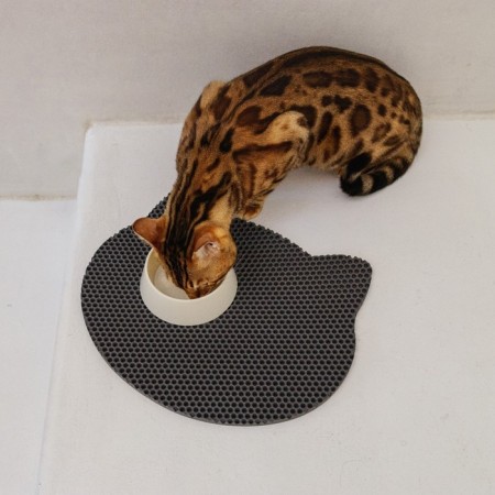 Rug for a bowl and a “face” tray, gray, 35x41.5 cm-3