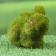 Figure "Grassmill Bunny" 10x6x7cm