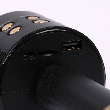 Portable karaoke microphone, 5 watts, 1200 mAh, LED, black and golden-3