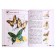 Tutorial. GEF. Atlase disclosure. From the ground to the sky, a new design. Pleshakov A.A.
