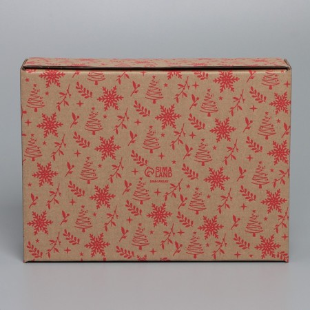 Box the team "Happy New Year", Bury, 27 x 21 x 9 cm, New Year-5