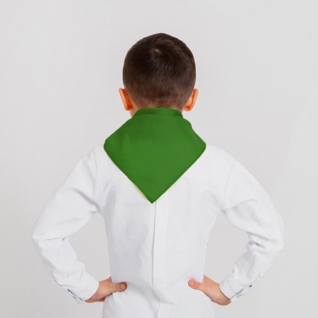 Pioneer tie, green color, shades mix-5