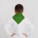 Pioneer tie, green color, shades mix
