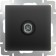 Tw-tv-terminal WL08-TV, black color