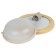 Lamp era NBO 03-60-011, E27, 60W, 220x220x84 mm, IP54