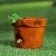 Figure pot "Frog Pot" 14x13x13cm