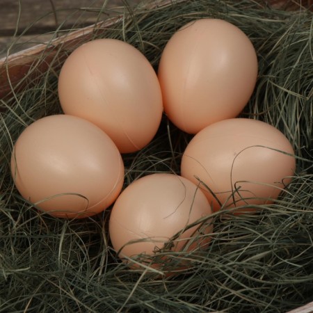 The egg is an artificial submarine, for chickens, 4 × 5 cm, 1 pc., Brown, Greengo-4