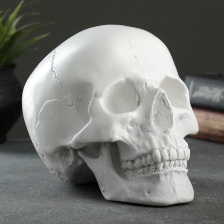 Pigger "Skull" Bely, 16x13x22cm