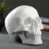 Pigger "Skull" Bely, 16x13x22cm