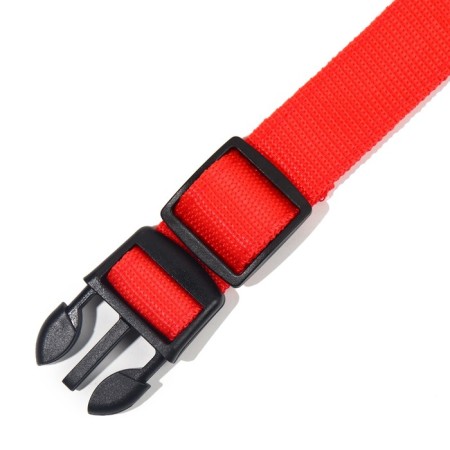 Collar with backlight size L, Osh 45-52 x 2.5 cm, 3 glow modes red-7