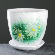 Flower Gerbera Green Green 5 L