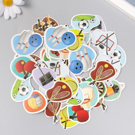 Stickers for creativity "Sports hobbies" embossing silver set 48 pcs 9x7x0.8 cm-2