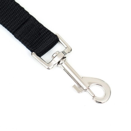 Leash 5 m x 2 cm, black-1