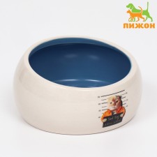 Ceramic bowl with a beveled edge 