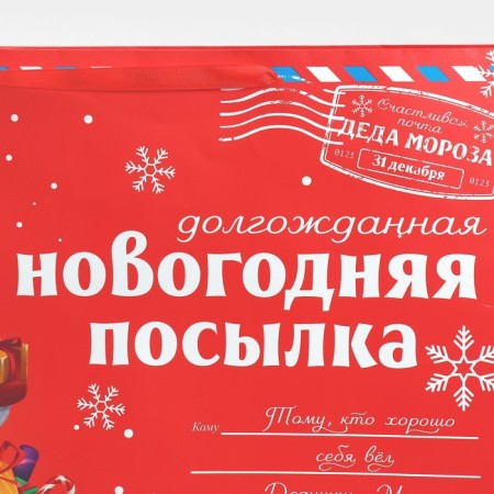 Laminated horizontal “NG Parcon”, XXL 46 x 61 x 20 cm, New Year-3