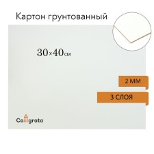 Pluted cardboard 30 x 40 cm, thickness 2 mm, 3-layer acrylic soil, calligrata