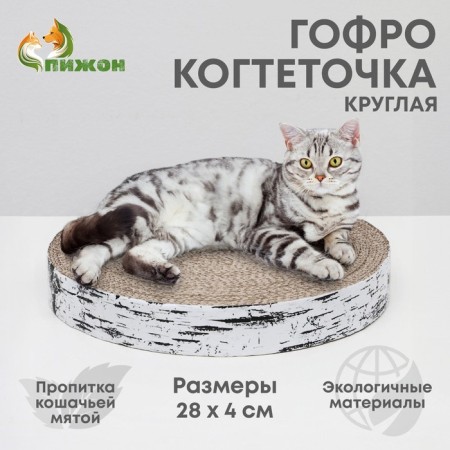 Corpushes "Pigzon" High Round "Birch Birch", with impregnation, 28 x 4 cm