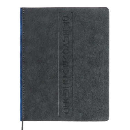 Universal diary for grades 1-11 "Oxford", hard cover of artificial leather, lies, 48 ​​sheets, blue spine