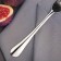 Torlet Dining Village "Plane British", length 19.1 cm, thickness 1.2 mm, silver color