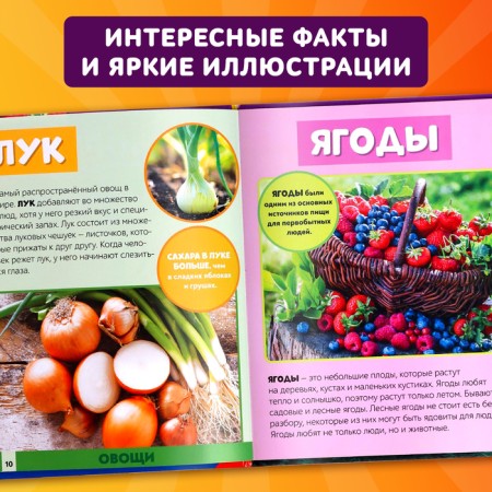Photoencyclopedia for children "World around us", 48 p.-3