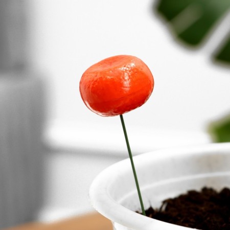 Set of plugs "Mandarin" 10pcs, 3cm, length 25cm-1