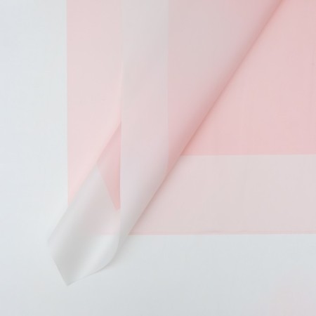 Matte, pink, transparent film, 58 x 58 cm