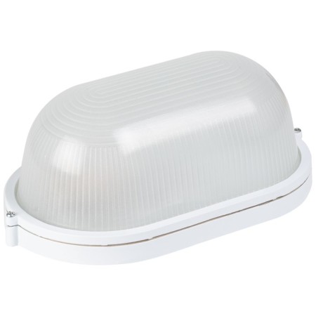 Lamp ERA NBP 04-100-001, E27, 100W, 280x160x108 mm, IP54