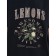 Female T -shirt, size l, black color