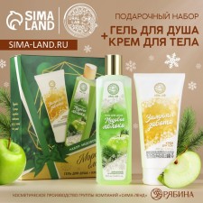 Новогодний подарочный набор косметики, гель для душа 250 мл и крем для тела 200 мл, Новый Год