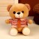 Soft toy "Mishutka in a shirt"