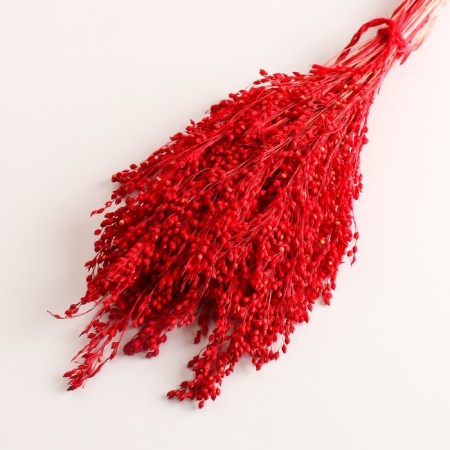Set of dried flowers "millet", banch length 45 (+/- 6 cm), red-2