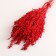 Set of dried flowers "millet", banch length 45 (+/- 6 cm), red