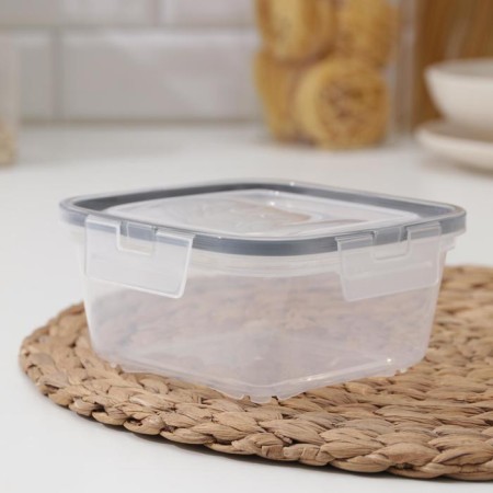 Container for products with latches, 800 ml, sealed cover, transparent color