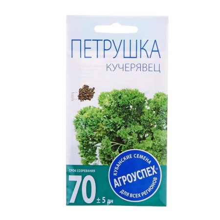 Seeds parsley Kucheryvets Kudryavaya, 2g