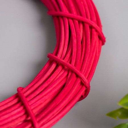 Ring Ring for the manufacture of Fuchsia Dreams Catcan D = 15 cm-1
