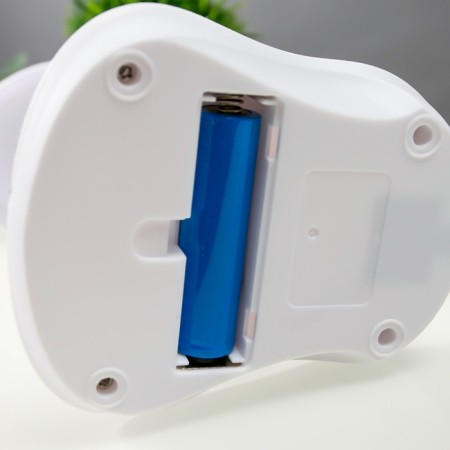 Sensory table lamp 16749/1 LED 2W 6000K USB AKB White 13x11x39 cm Risalux-8