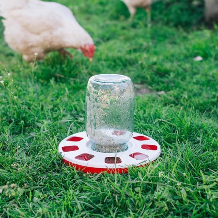 Drill for poultry, under a jar and a bottle, d = 220 mm-6