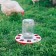 Drill for poultry, under a jar and a bottle, d = 220 mm